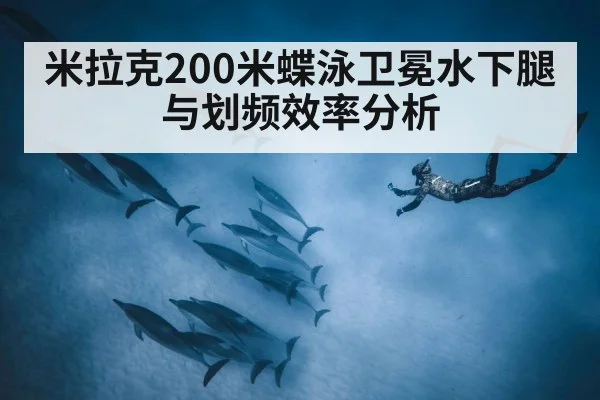 米拉克200米蝶泳卫冕水下腿与划频效率分析